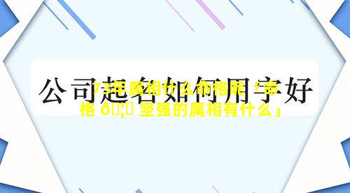 73年属相什么命格呢「命格 🦁 坚强的属相有什么」